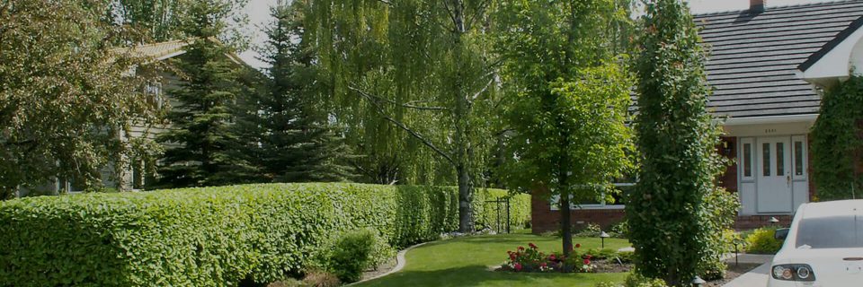 Your Complete Tree and Shrub
Care Company