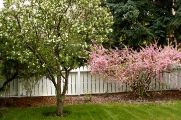 Natural Pruning