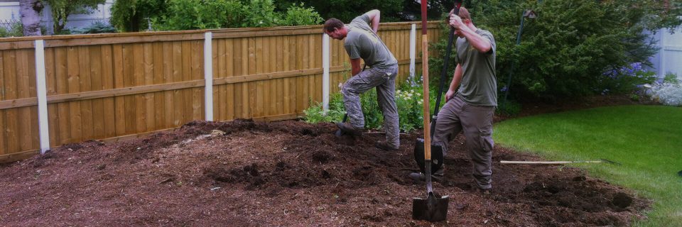 Expert Tree, Shrub and Hedge Planting