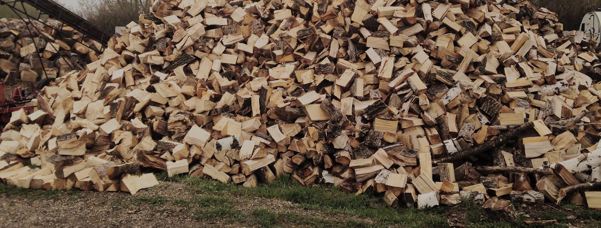 A feature image of cleared trees cut down to firewood.